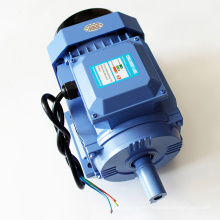 ELECTRICAL  Fan Motor